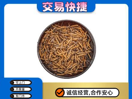珠山区回收散虫草